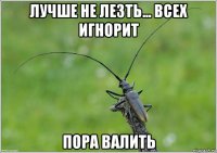 лучше не лезть... всех игнорит пора валить