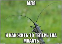 мля и как жить то теперь епа мааать