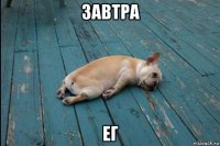 завтра ег