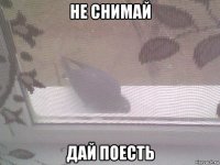 не снимай дай поесть