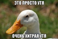 это просто утя очень хитрая утя