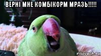 верні мне комбікорм мразь!!!!! 