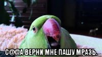  с@@а верни мне пашу мразь.