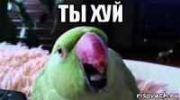 ты хуй 