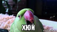  хюй