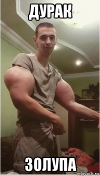 дурак золупа