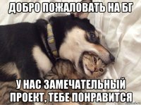 добро пожаловать на бг у нас замечательный проект, тебе понравится