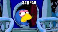 задрал 