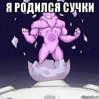я родился сучки 