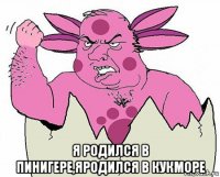 я родился в пинигере,яродился в кукморе