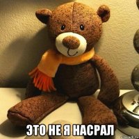  это не я насрал