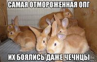самая отмороженная опг их боялись даже чечнцы