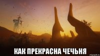  как прекрасна чечьня