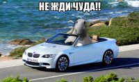 не жди чуда!! 