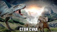  стой сука