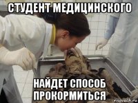 студент медицинского найдет способ прокормиться