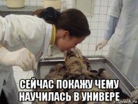  сейчас покажу чему научилась в универе