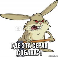  где эта серая собака?!