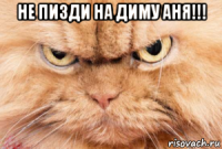 не пизди на диму аня!!! 