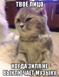 твоё лицо когда зиля не выключает музыку