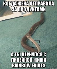 когда жена отправила за продуктами а ты вернулся с линейкой жижи rainbow fruits