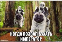  когда позвал бухать император