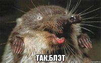  так,блэт