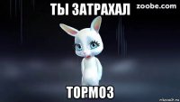ты затрахал тормоз