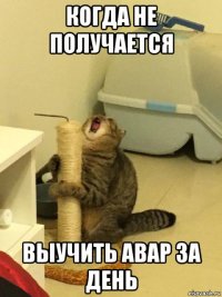 когда не получается выучить abap за день