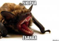 чюрка ёбаная