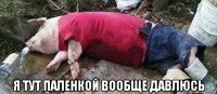  я тут паленкой вообще давлюсь