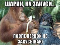 шарик, ну закуси... после первой не закусываю