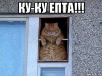 ку-ку епта!!! 