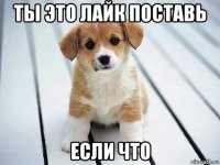 ты это лайк поставь если что