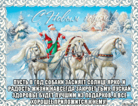 пусть в год собаки засияет солнце ярко, и радость жизни навсегда закроет тьму, пускай здоровье будет лучшим из подарков, а все хорошее приложится к нему!