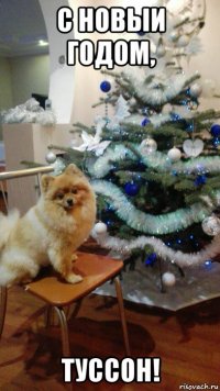 с новыи годом, туссон!