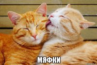  мяфки