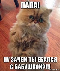 папа! ну зачем ты ебался с бабушкой?!!!