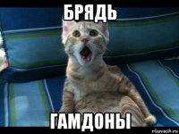 брядь гамдоны