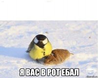  я вас в рот ебал