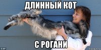 длинный кот с рогани