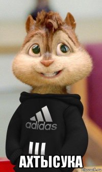  ахтысука