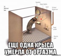  еще одна крыса умерла от оргазма