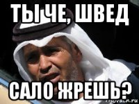 ты че, швед сало жрешь?