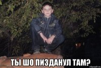  ты шо пизданул там?