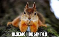  ждемс новый год