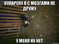 кукареку я с мозгами не дружу у меня их нет