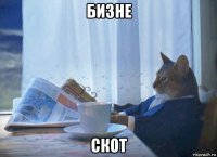 бизне скот