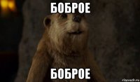 боброе боброе