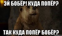 эй бобёр! куда попёр? так куда попёр бобёр?